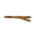Acorn
